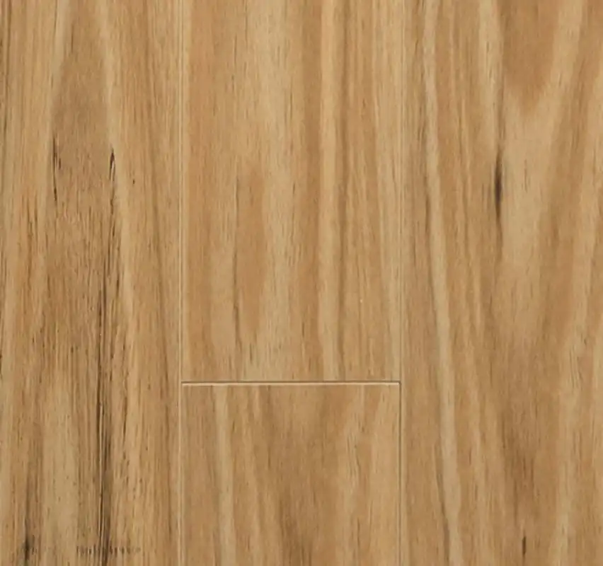 Classic Blackbutt